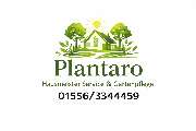 Plantaro - GALLERY