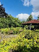 planting GmbH - GALLERY