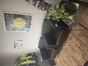 planting GmbH - GALLERY