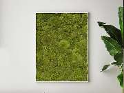 Plantyworks GmbH - GALLERY