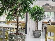 Plantyworks GmbH - GALLERY