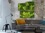 Plantyworks GmbH - GALLERY