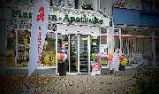 Platanen-Apotheke - Aussenansicht der Platanen-Apotheke