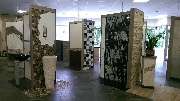 Platten-Wahler - GALLERY