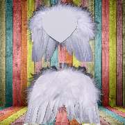 PlotterLilli - GALLERY