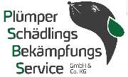Plümper Schädlingsbekämpfungsservice GmbH & Co. KG - 1