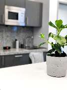 pluss Münster - Care People (Medizin/Pflege) - GALLERY