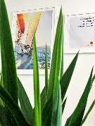 pluss Münster - Care People (Medizin/Pflege) - GALLERY