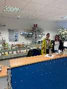 PM DSC - DSC Sinsheim