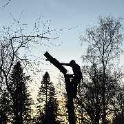 Pohl Forst&Gartenbau - LOGO