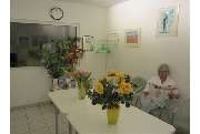 Polak Artur Dr.med. - GALLERY