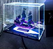 Polear | Licht und Design - GALLERY