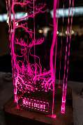 Polear | Licht und Design - GALLERY