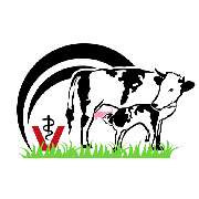 Praktischer Tierarzt - LOGO