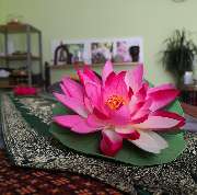 Bild von Pranee Thaimassage in Reutlingen - 1
