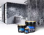 PRATTA Exclusive - GALLERY