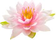 Logo - Praxis für Ayurvedamedizin & Naturheilkunde Shanti-Yogaschule