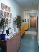 Praxis für Ergotherapie Broschwitz - GALLERY