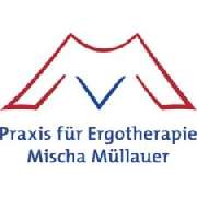 Praxis für Ergotherapie Mischa Müllauer - LOGO