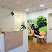 Praxis für Ergotherapie und Handtherapie, Evelyn Schmid - GALLERY