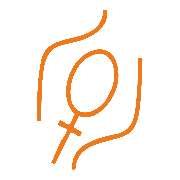 Praxis für Frauenmedizin und Geburtshilfe und Praxis für Allgemeinmedizin in Düsseldorf - Praxis für Frauenmedizin und Geburtshilfe und Praxis für Allgemeinmedizin in Düsseldorf