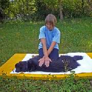 Praxis für Kleintiere und Tierphysiotherapie Elma Strauch - GALLERY
