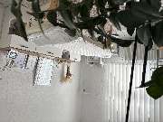 Praxis für Massage- und Wellnesstherapie | Larissa Schreiner - GALLERY