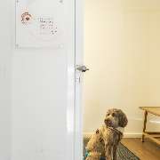 Praxis für Naturheilkunde - Nicole Fietz - Heilpraktikerin & Traumatherapeutin - Praxis für Naturheilkunde - Nicole Fietz - Heilpraktiker Köln