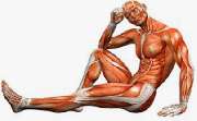 Praxis für Physiotherapie Unterschweinbach - GALLERY