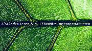Praxis Giel - 2