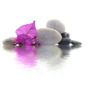 Praxis Tuina & Qigong Massage - 2