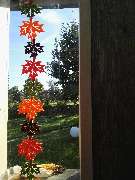 Praxis Witt - GALLERY