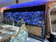 Premium Aquarium Berlin - GALLERY
