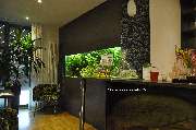 Premium Aquarium Berlin - GALLERY