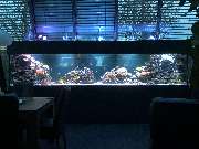 Premium Aquarium Berlin - GALLERY