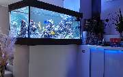 Premium Aquarium Berlin - GALLERY