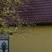 Prerower Seekiste - GALLERY