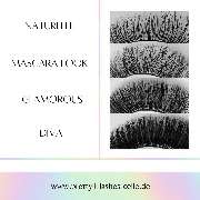 PrettyLi Lashes - 13