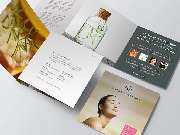 PRIMA LINE Webdesign Berlin - 19