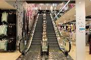 Primark - GALLERY