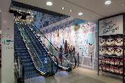 Primark - GALLERY