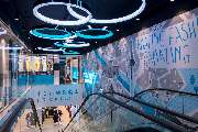Primark - GALLERY