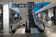 Primark - GALLERY