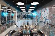 Primark - GALLERY