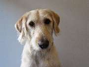 PRINZIP E GMBH - GALLERY