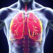 Privatpraxis Pneumologie - GALLERY