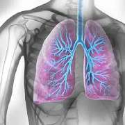 Privatpraxis Pneumologie - GALLERY