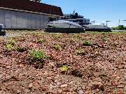 PRO DACH 23 Inh. Stefan Schmidt - Dachbegrünung