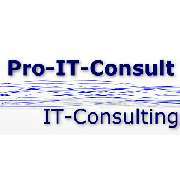 Pro-IT-Consult e.K. - LOGO