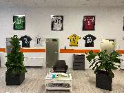Pro Physio Rinke - GALLERY